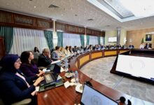 الوزير الأول سيفي غريب اجتماع الحكومة