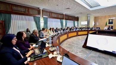 الوزير الأول سيفي غريب اجتماع الحكومة