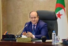 الوزير الأول سيفي غريب اجتماع الحكومة