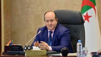 الوزير الأول سيفي غريب اجتماع الحكومة