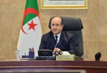 الوزير الأول سيفي غريب اجتماع الحكومة