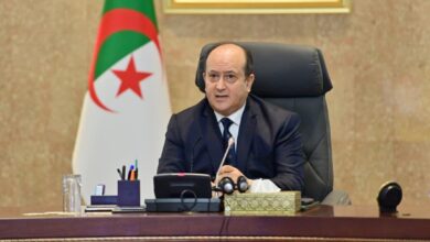 الوزير الأول سيفي غريب اجتماع الحكومة
